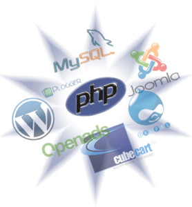 Web Development Services