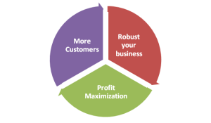 conversion-rate-optimization service