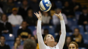 Google Algo for 2013