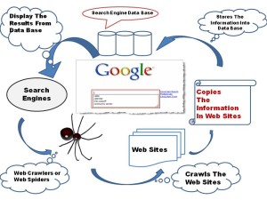 How Google Search Result Works