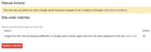 google manual action