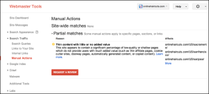 google manual penalty