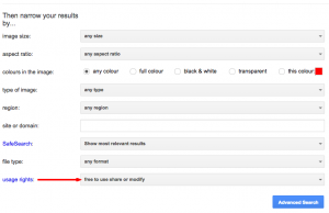 Google Advanced Image Search